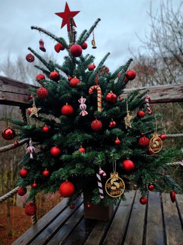 a christmas tree sitting on a wooden bench at Căsuțele de sub Șipote in Porumbacu de Sus