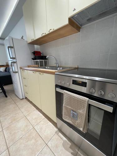 a kitchen with a stove and a sink at Evelyn's Apartment in Alexandroupoli