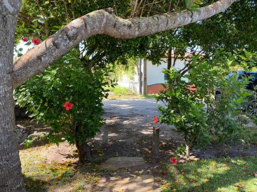 Taman di luar Chalé com Piscina em Guaratiba- Prado