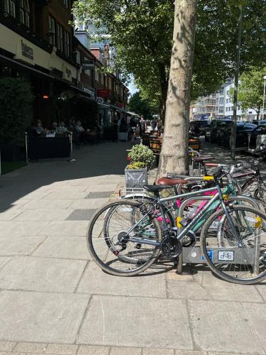 un grupo de bicicletas estacionadas junto a un árbol en Velvet, en Whetstone