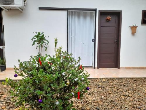 a christmas tree in front of a house at Hospedagem Tia Nena in Pomerode