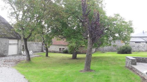 a group of trees in a yard with a building at Gîte La Grange d'Herbuchenne in Dinant
