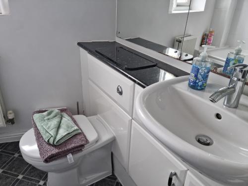 a white bathroom with a sink and a toilet at Sea Escape The Tardiis 2 mins from Aberavon Beach Driveway parking in Port Talbot