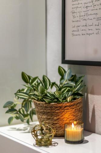 Φωτογραφία από το άλμπουμ του Design Apartments Sassari-Jungle Queen σε Σάσαρι