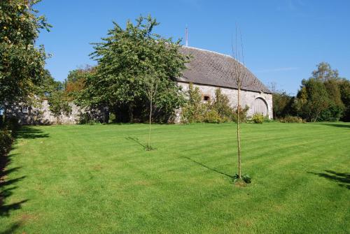 a tree in a field in front of a building at Gîte La Grange d'Herbuchenne in Dinant