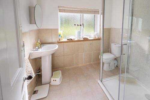 a bathroom with a shower and a sink and a toilet at Edengrove in Aberfeldy