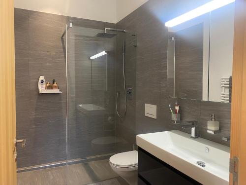 a bathroom with a shower and a toilet and a sink at Klosters/Davos - topfloor luxury apartment with extraordinary views in Klosters Dorf