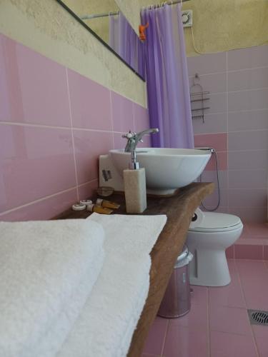 a bathroom with a sink and a toilet at studio Nick in Kalavrita