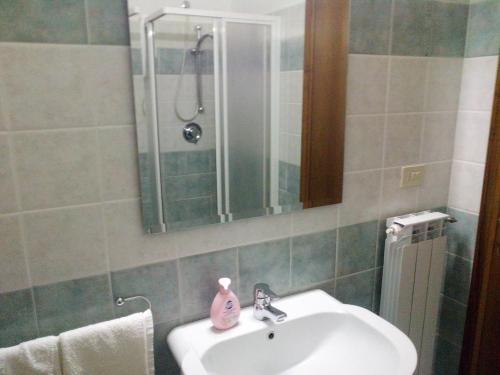 een badkamer met een wastafel en een douche bij Hotel Turano in Castel di Tora