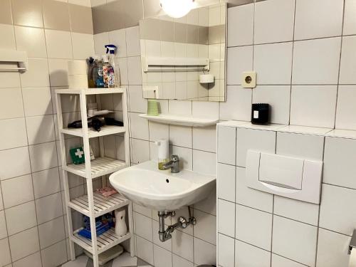 a small white bathroom with a sink and shelves at Edelweiss Apartments in Villach