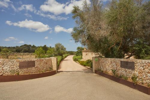 a road with a stone wall and a tree at Hotel Rural Es Riquers in Porreres