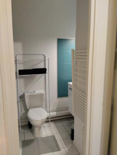 une salle de bain avec toilettes et lavabo dans l'établissement Le cercle doré, à Toulouse