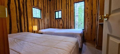 two beds in a room with wooden walls and windows at Eco lodge mediterraneas in Caburgua