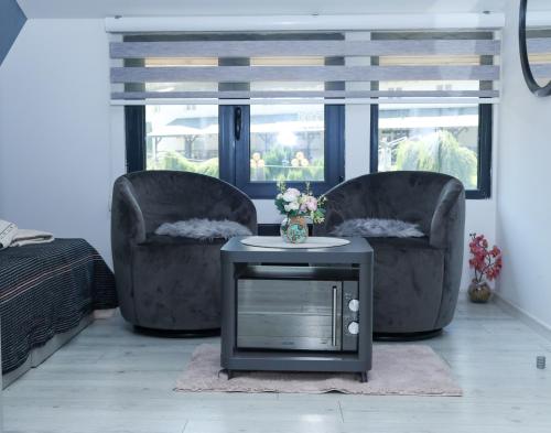 a living room with two chairs and a table with a tv at Maja Lux Apartman Brzece in Brzeće