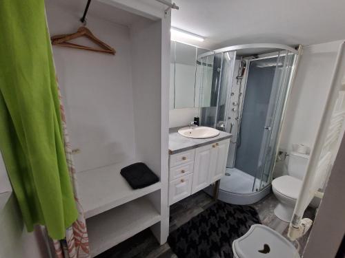 La salle de bains est pourvue d'un lavabo, d'une douche et de toilettes. dans l'établissement Studio Marmotte quartier marais, terrasse en rez de jardin, à Bourges