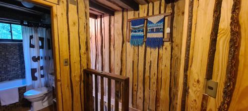 a bathroom with a toilet and a wooden wall at Eco lodge mediterraneas in Caburgua