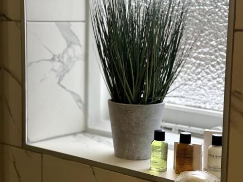 a window sill with a potted plant and bottles of hair products at The Ivanhoe Apartment in Rothley