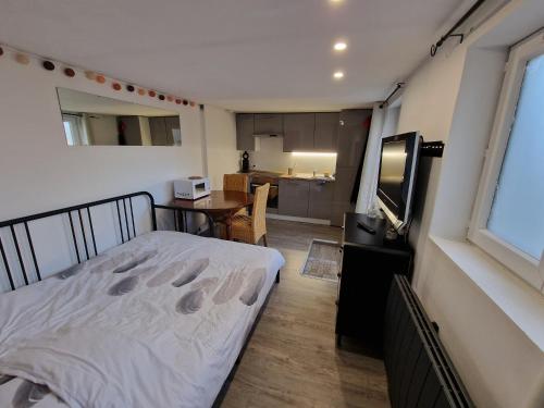 um pequeno quarto com uma cama e uma cozinha em Studio Cerf quartier marais, jardin accessible, terrasse rez de chaussée em Bourges