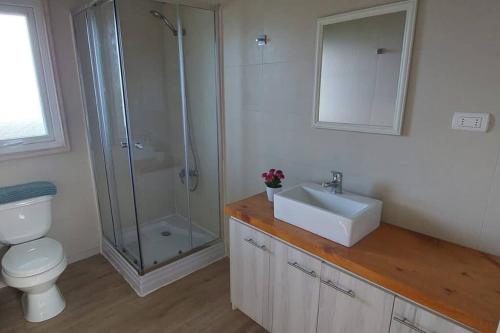 y baño con ducha, aseo y lavamanos. en Cabaña frente al Lago Llanquihue, en Llanquihue