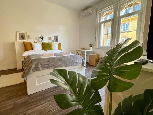 - une chambre avec un lit et une plante dans l'établissement Studio27 - Apartment with balcony at the Buda castle, à Budapest