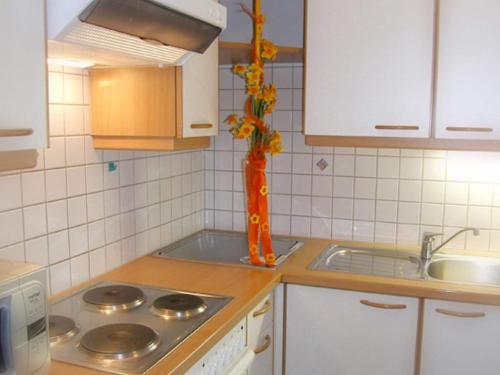 Kuchyň nebo kuchyňský kout v ubytování Nice apartment in Samnaun with garden