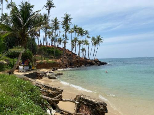 uma praia com palmeiras e o oceano em Mirissa Gold Rush Villa em Mirissa