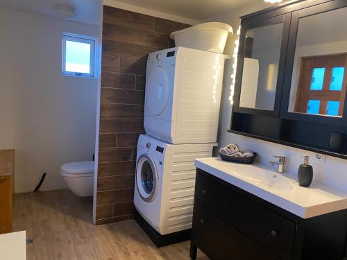 uma casa de banho com uma máquina de lavar roupa ao lado de um lavatório em Myrarkot Country Home em Selfoss