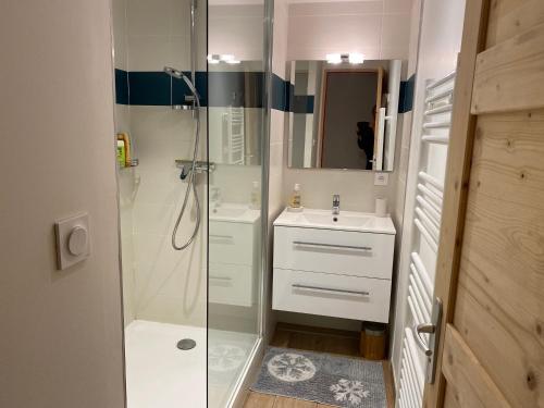 une salle de bain avec douche et lavabo dans l'établissement Appartement montagne dans résidence, à Villard-de-Lans