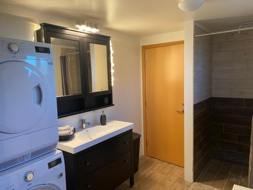 a bathroom with a sink and a washing machine at Myrarkot Country Home in Selfoss