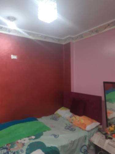 Cette petite chambre comprend un lit et un mur rouge. dans l'établissement شقة فندقية فاخرة بدمياط قريبة من الميناء, à Dumyāţ al Jadīdah