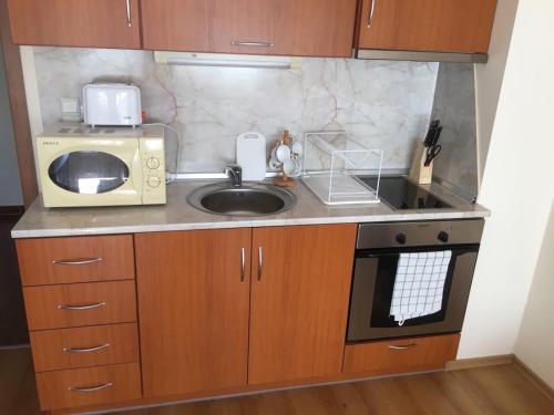a small kitchen with a sink and a microwave at CEDAR LODGE NEXT TO LIFT ONE BEDROOM APARTMENT in Bansko
