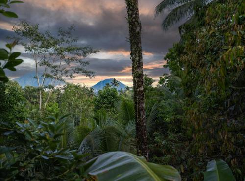 Penebel的住宿－Nienté Bali，享有丛林美景,背景为山脉