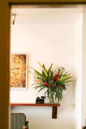 a plant sitting on a table in a room at Gran Hotel Bahia in Bocas del Toro