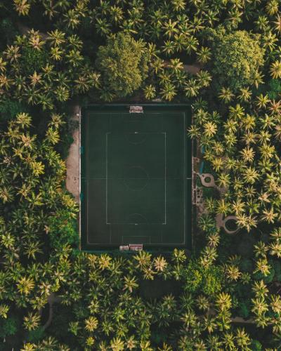 an overhead view of a tennis court in a garden at Amilla Maldives in Kihaadhoo