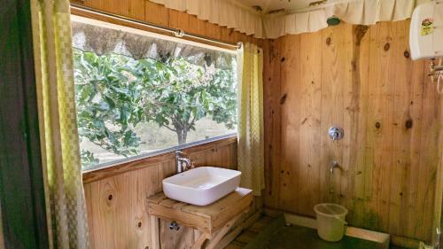 a bathroom with a sink and a window at 16 Bedouin in Hosūr
