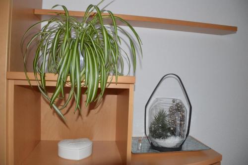 a plant sitting on a shelf next to a mirror at Ferienwohnung Streng in Faggen
