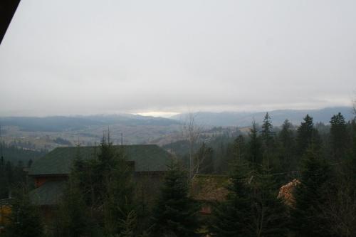 a view of a mountain with trees and a house at Highland in Yablunytsya