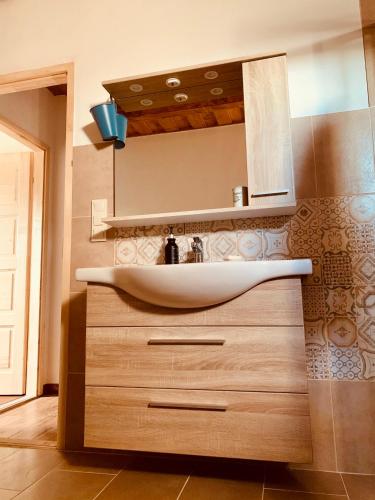 a bathroom with a sink and a mirror at Csigevár Birtok in Balatonendréd