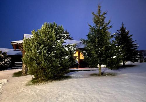 two trees in the snow in front of a house at Chata 107 Tatralandia Village in Liptovský Mikuláš