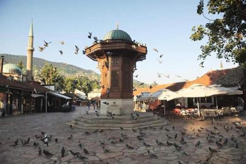 a flock of birds flying around a clock tower at Terza in Sarajevo
