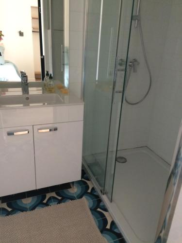 ナントにあるLa MAISON du ROUGE GORGEのガラスのシャワーと洗面台を備えたバスルーム