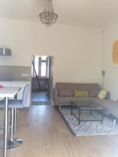 un salon avec un canapé et une table dans l'établissement La MAISON du ROUGE GORGE, à Nantes