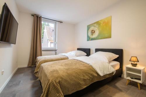 2 Betten in einem Zimmer mit einem TV und einem Fenster in der Unterkunft Luxury Saarbrücken 4 in Saarbrücken