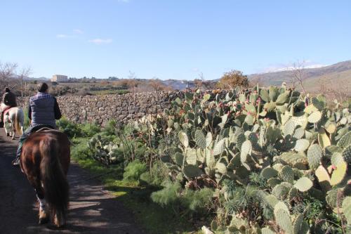 a person riding a horse through a field of cactus at Agriturismo Borgo San Nicolao in Randazzo