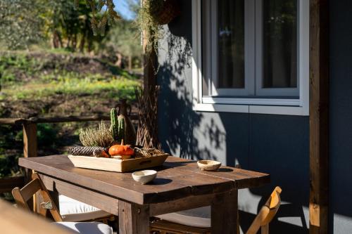 Morus Tiny House – Photos 5