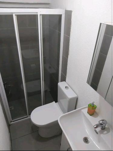 een badkamer met een toilet, een wastafel en een douche bij Taksim Merkez in Istanbul