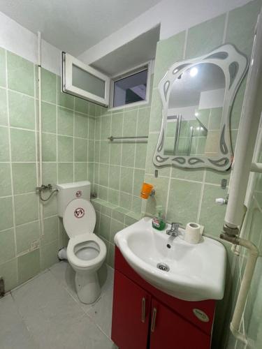 een badkamer met een toilet, een wastafel en een spiegel bij Traditional Romanian Panoramic in Sibiu