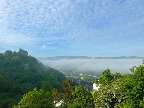 a view of a town in the fog with trees at Wie im Himmel in Hatzfeld