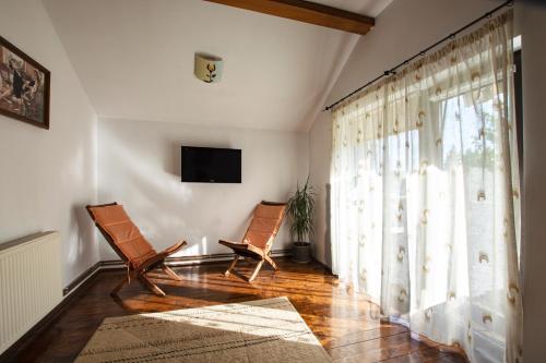 a living room with two chairs and a television at Pension Andra's House in Horezu