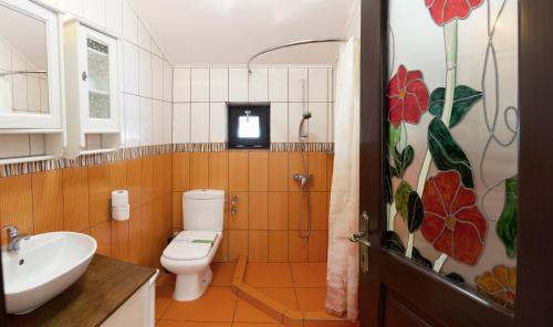 a bathroom with a toilet and a sink at Pension Andra's House in Horezu